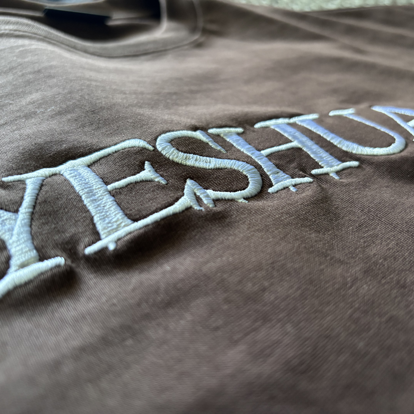 YESHUA Cropped Oversized Embroidered Tee