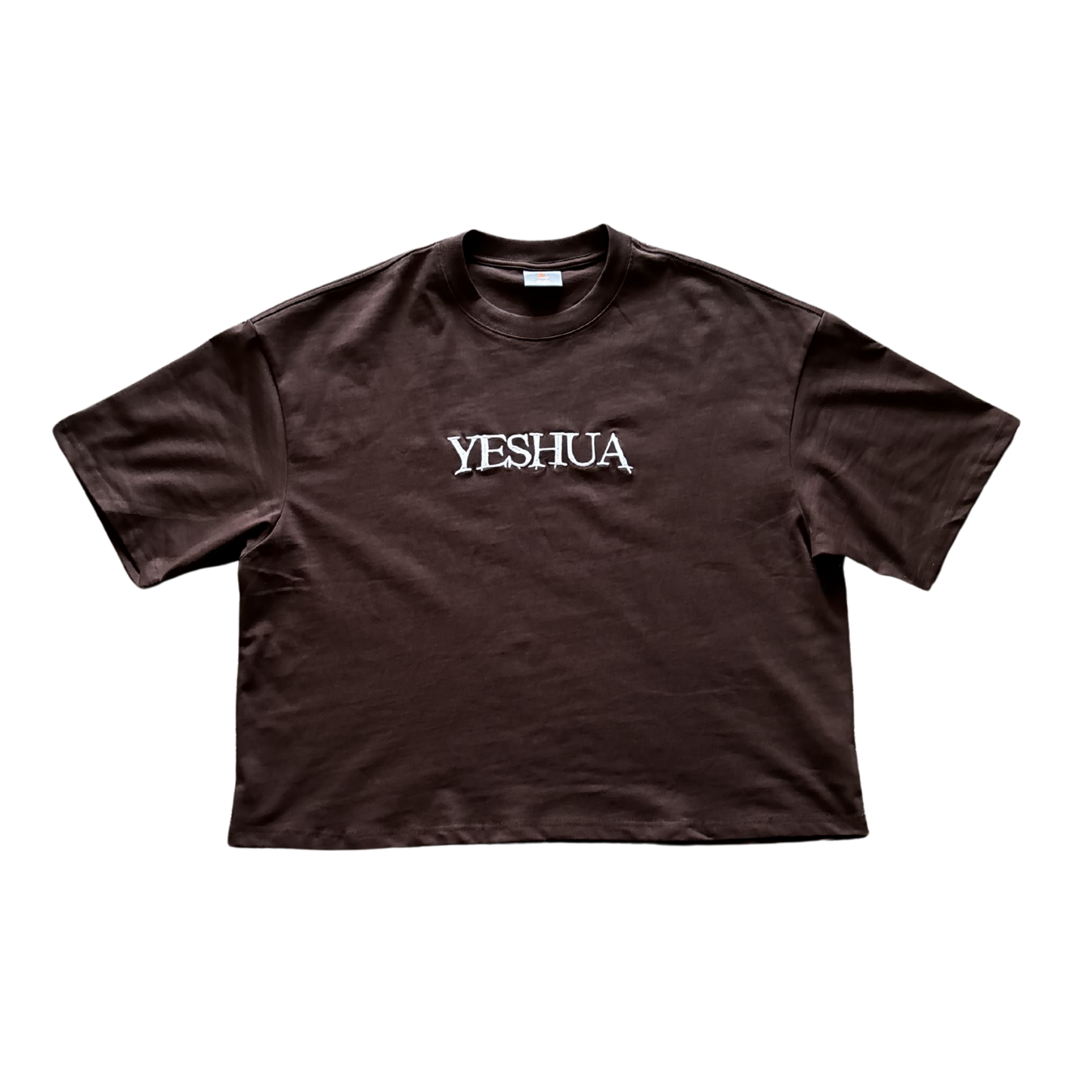 YESHUA Cropped Oversized Embroidered Tee