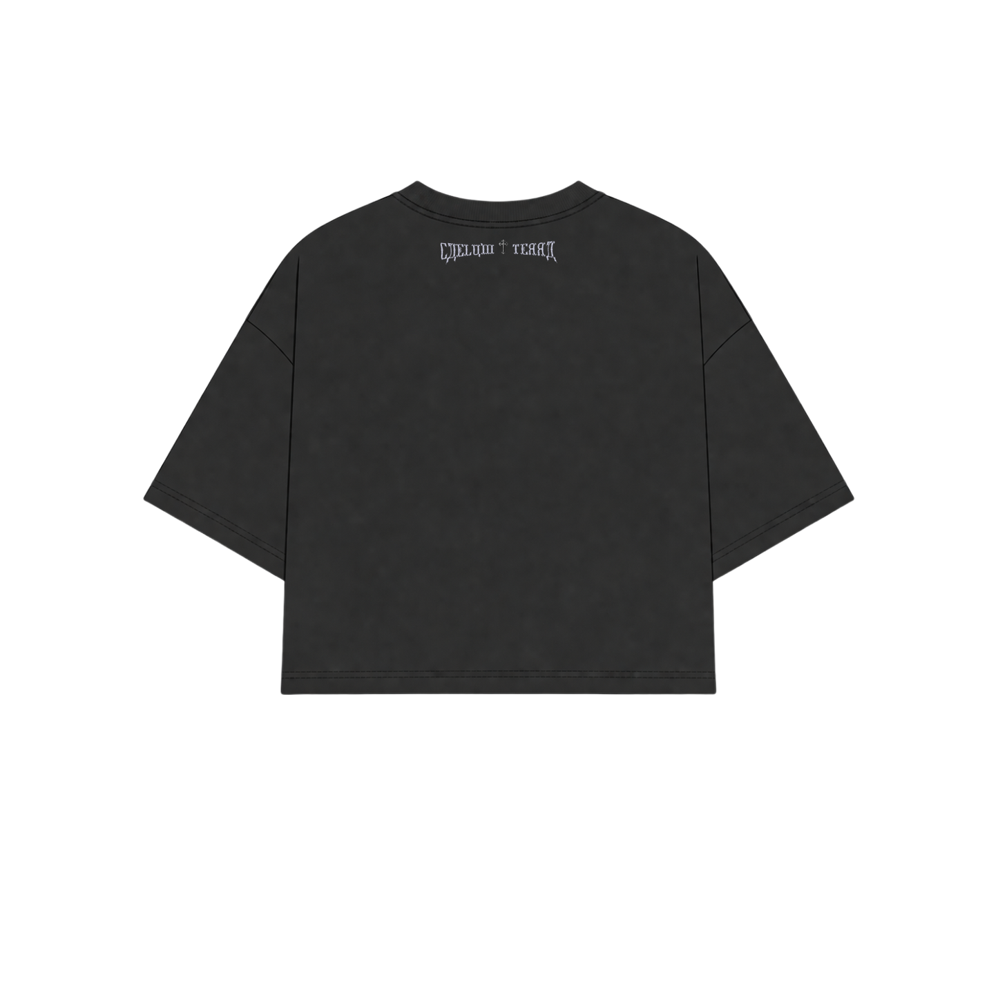 Christus Rex Unisex Cropped Tee