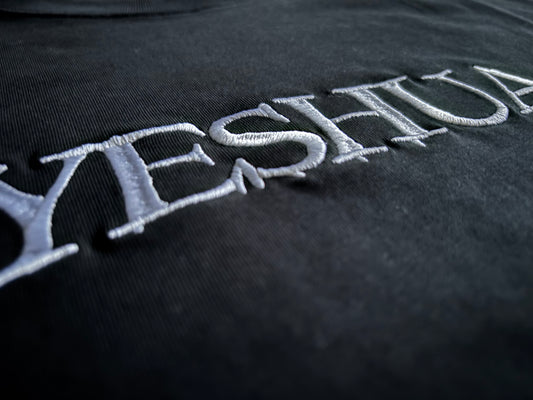 YESHUA Cropped Oversized Embroidered Tee